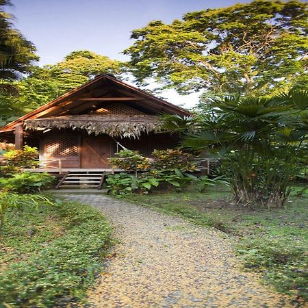 Azania Bungalows Puerto Viejo de Talamanca 外观 照片