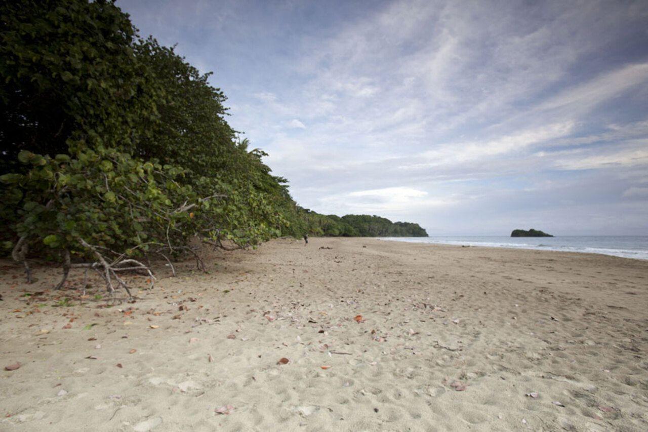 Azania Bungalows Puerto Viejo de Talamanca 外观 照片