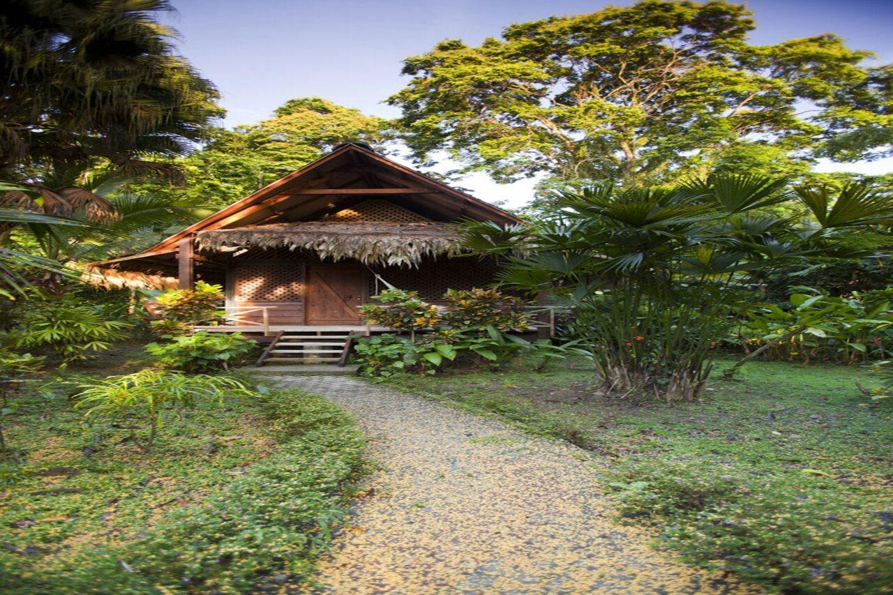 Azania Bungalows Puerto Viejo de Talamanca 外观 照片