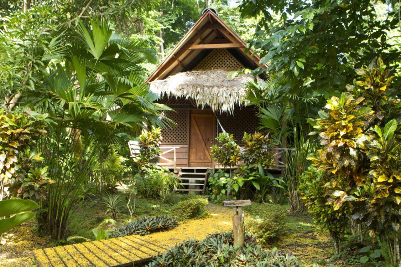 Azania Bungalows Puerto Viejo de Talamanca 外观 照片