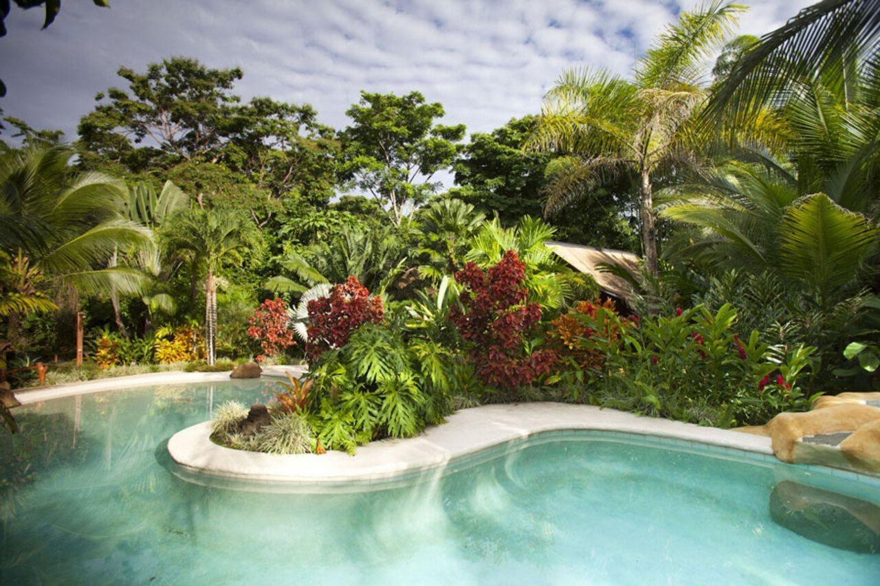 Azania Bungalows Puerto Viejo de Talamanca 外观 照片