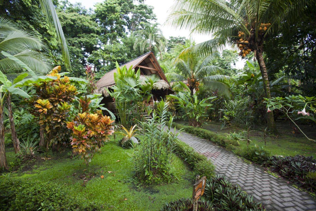 Azania Bungalows Puerto Viejo de Talamanca 外观 照片