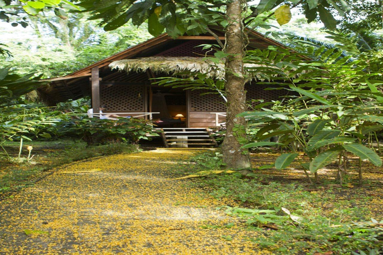 Azania Bungalows Puerto Viejo de Talamanca 外观 照片