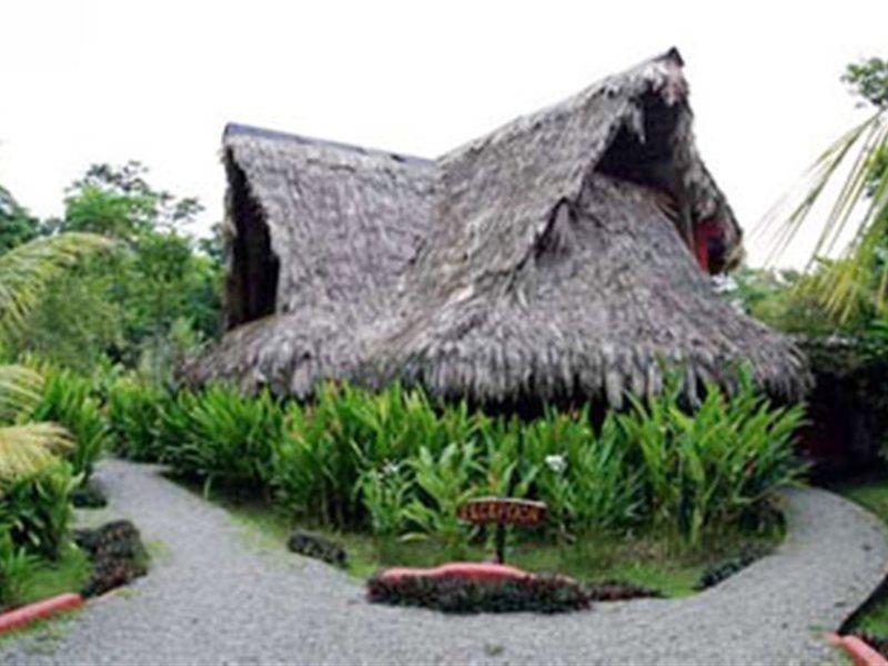 Azania Bungalows Puerto Viejo de Talamanca 外观 照片