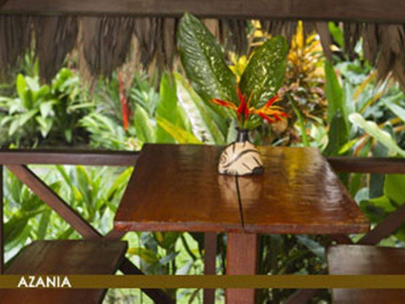 Azania Bungalows Puerto Viejo de Talamanca 外观 照片
