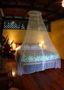 Azania Bungalows Puerto Viejo de Talamanca 外观 照片